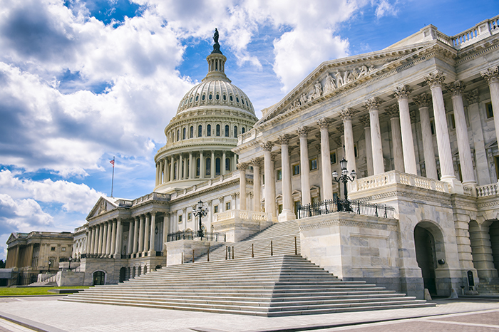 image of congress building in Washington, DC